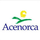 Acenorca